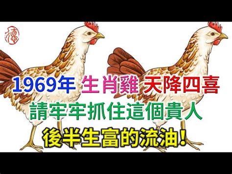 1969屬雞2024運勢|属鸡1969年出生的人2024年全年运程运势